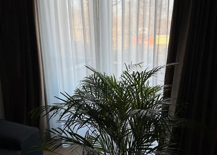 The Urban Retreat アパート ブカレスト
